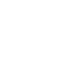 logo-SYT-blanc